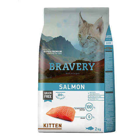 Bravery Cat Kitten Salmon 2K 