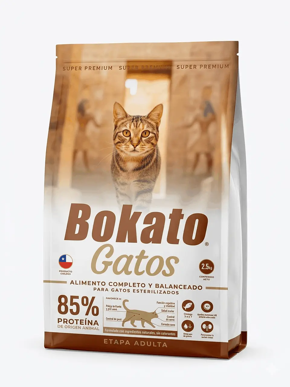 Bokato Gato 7K  1