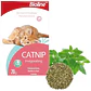 Cat Nip Bioline 20grs  - Miniatura 2