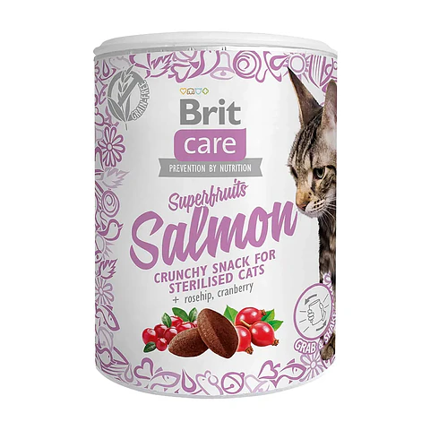 Brit Care Snack SuperFruits Sterilized 100grs 