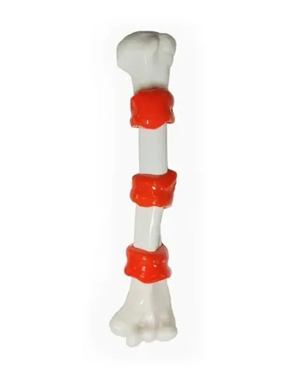 Hueso Largo warrior  1