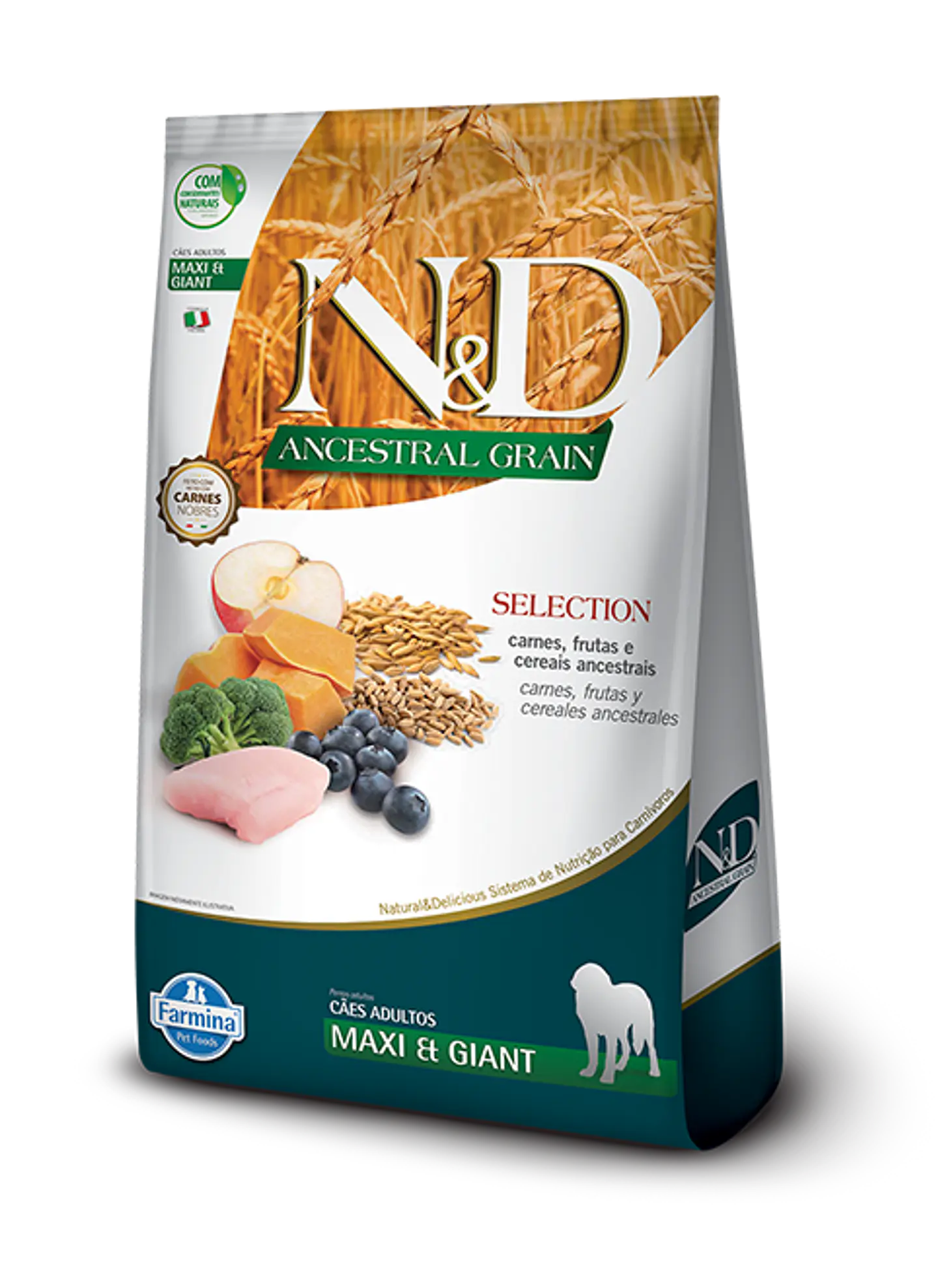 ND Ancestral Selection Perro Grande Pollo 15K  1