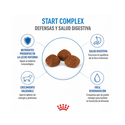 Royal Canin Starter Madre y Cachorros 3KG