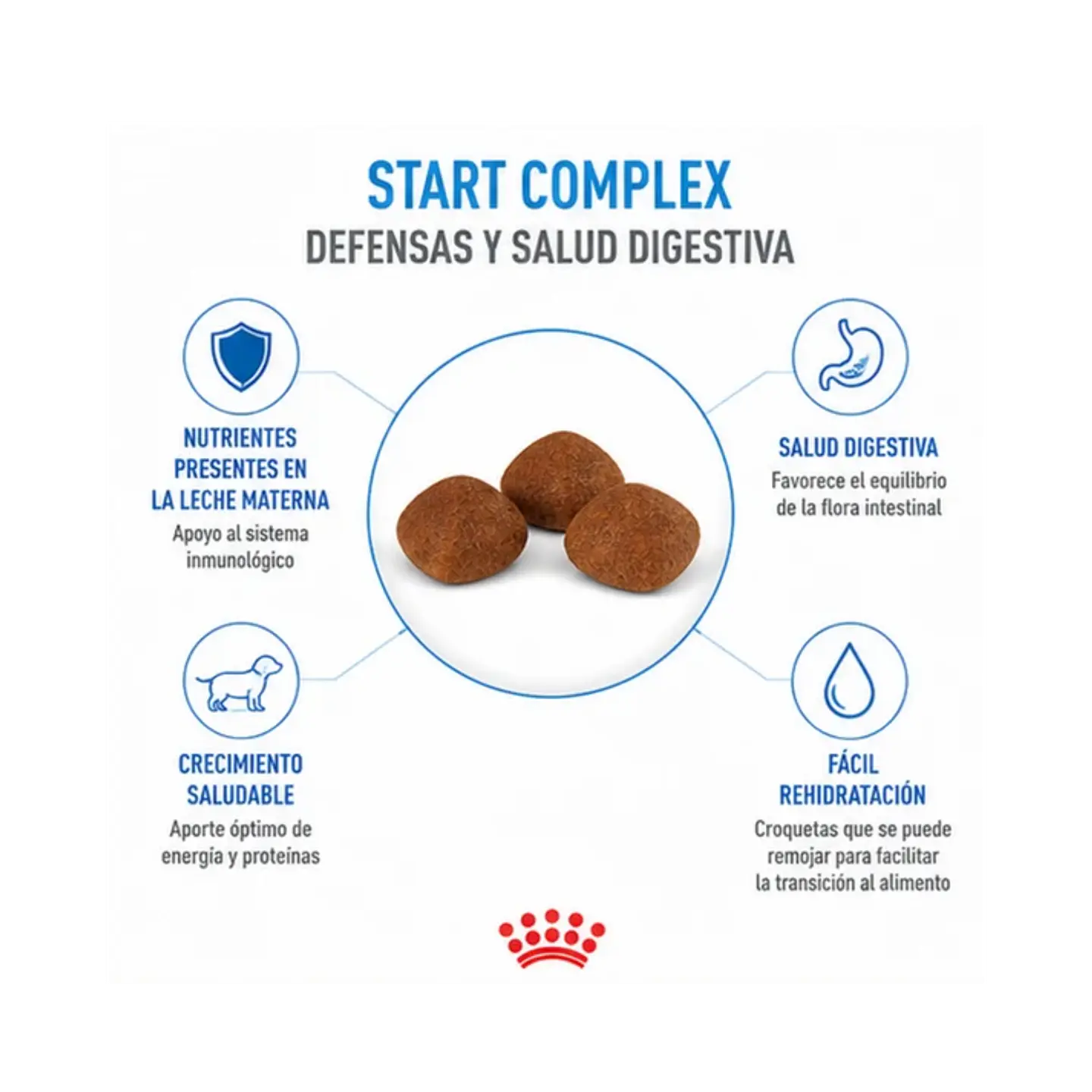 Royal Canin Starter Madre y Cachorros 3KG 2