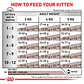 Royal Canin Gatito Gastrointestinal Gatito 400grs  - Miniatura 2