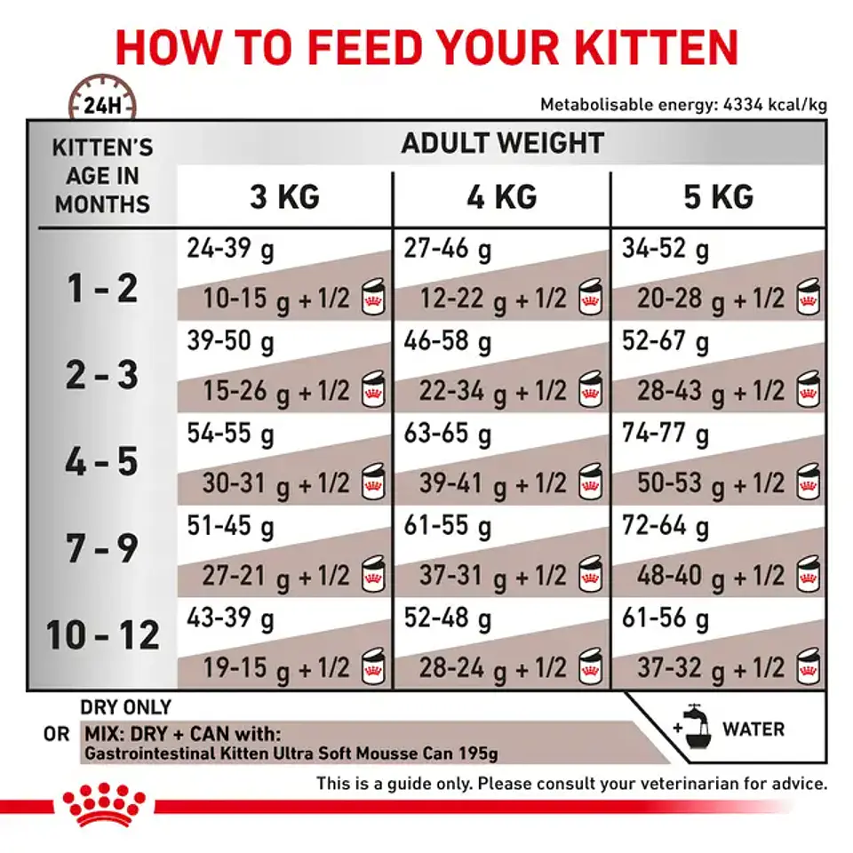 Royal Canin Gatito Gastrointestinal Gatito 400grs  2