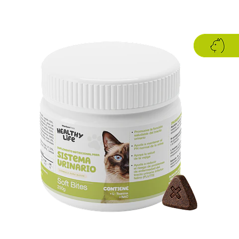 Healthy Life Gato 250g Sistema Urinario