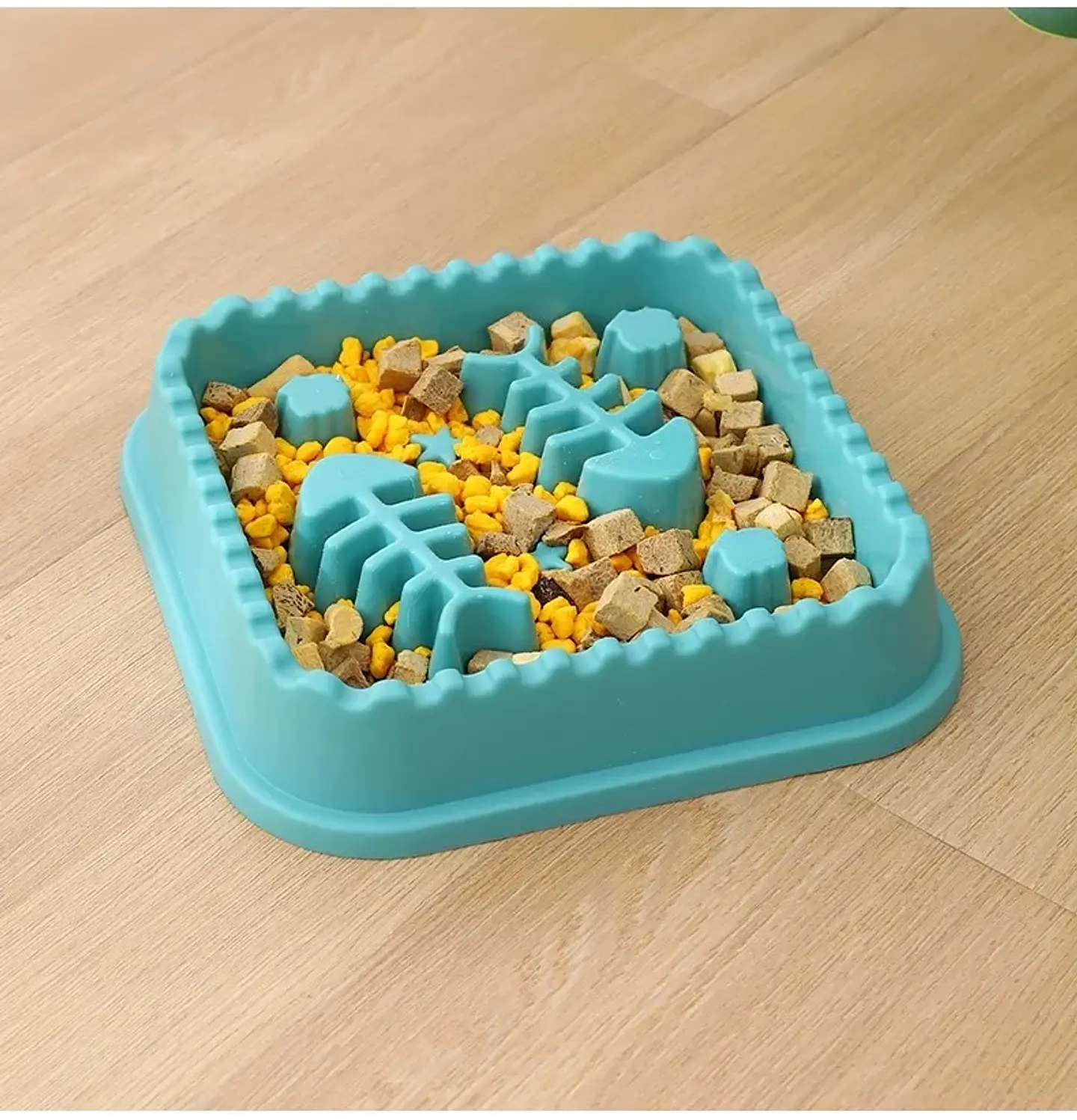 Plato Alimentacion Lenta Pez  3