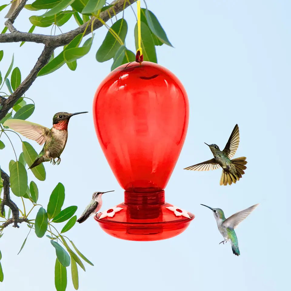 Bebedero Colibri 11.5x22 cms  2