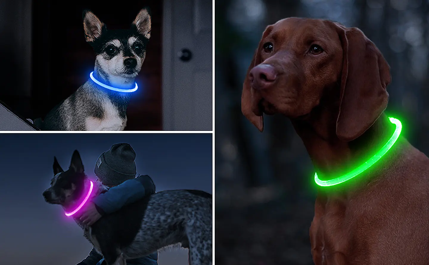 Collar Silicona Luminosa Perro 2