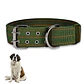 Collar Fibra XL 50cms ( Canjea Hasta 2000PB)  - Miniatura 1