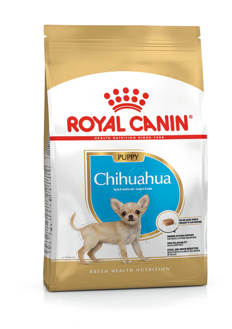 Royal Chihuahua Puppy 1K