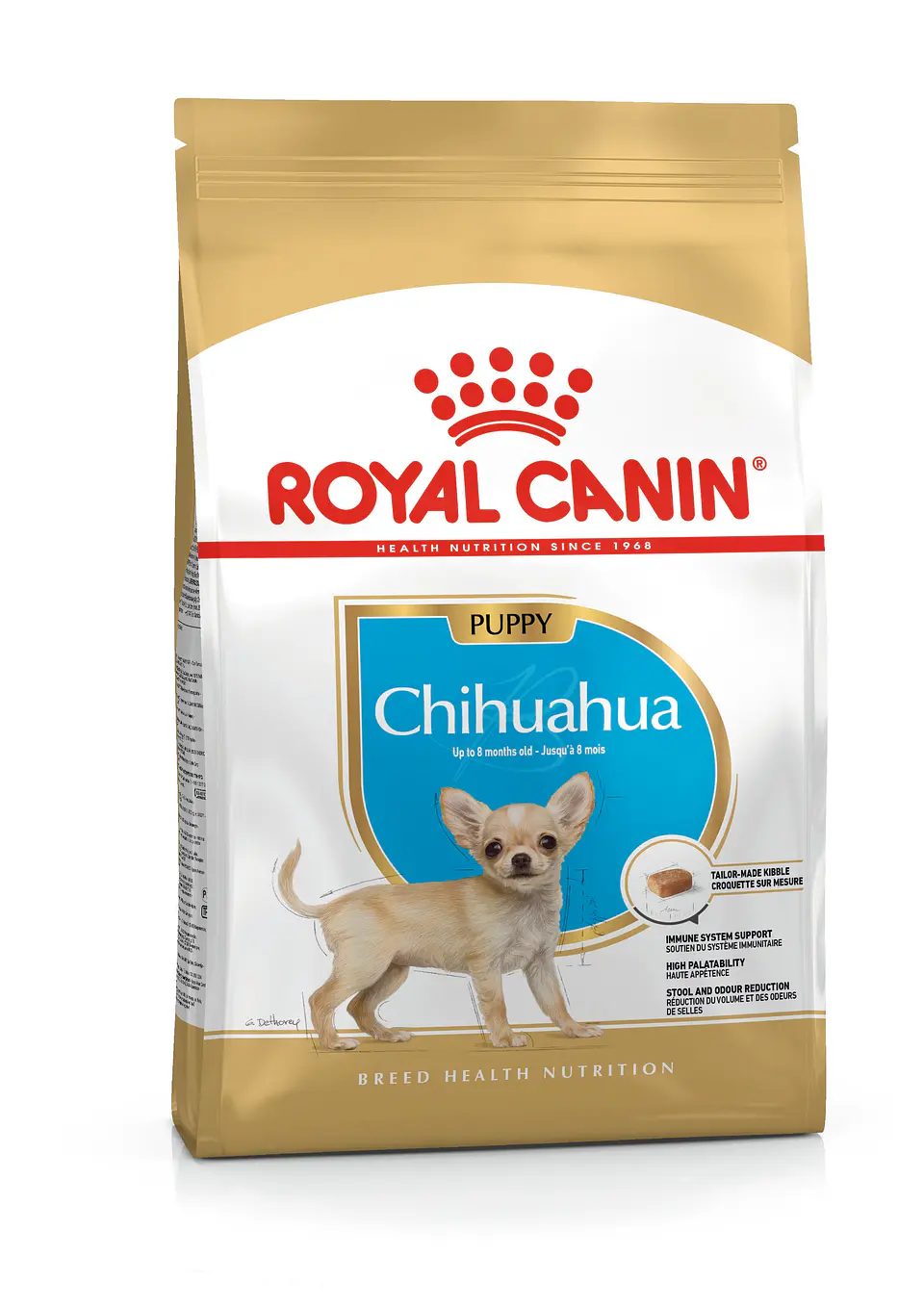 Royal Chihuahua Puppy 1K 1