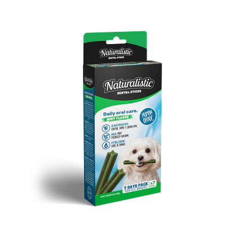 Dental Stick Mint Flavor