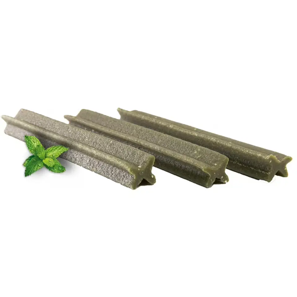 Dental Stick Mint Flavor 2