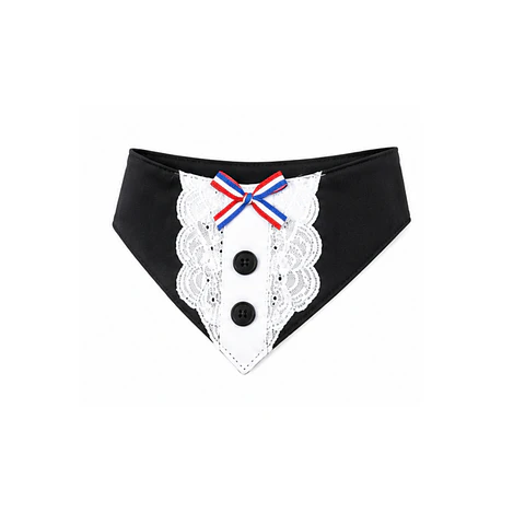 Bandana Huaso Elegante S (Canjea Hasta 2000PB) 