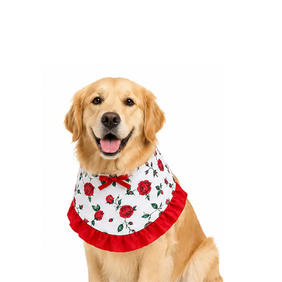 Bandana Chinita S (Canjea hasta 2000PB)  2