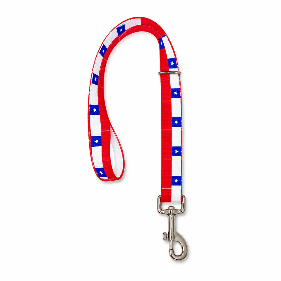Correa Collar Chile Talla L (Canjea hasta 4000 PB)  2