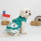 Vestido Huasa - Miniatura 5