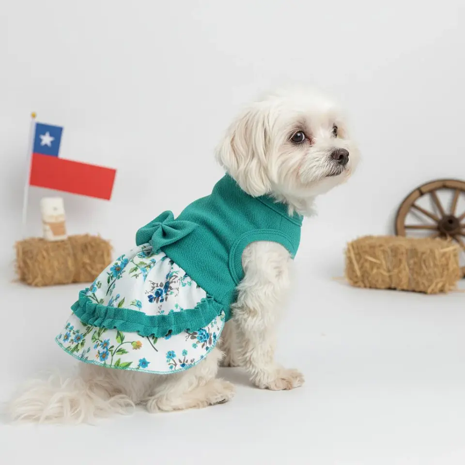 Vestido Huasa 5