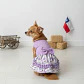 Vestido Huasa - Miniatura 4