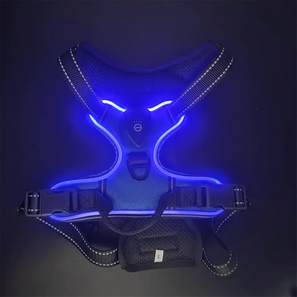 Arnes Con Luz Led USB 3