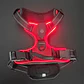 Arnes Con Luz Led USB - Miniatura 4