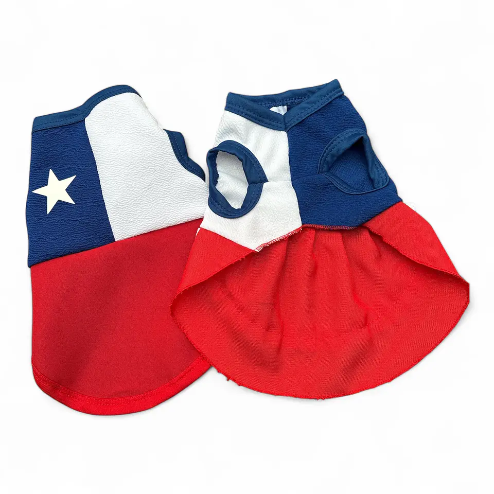 Traje Bandera Chilena 1