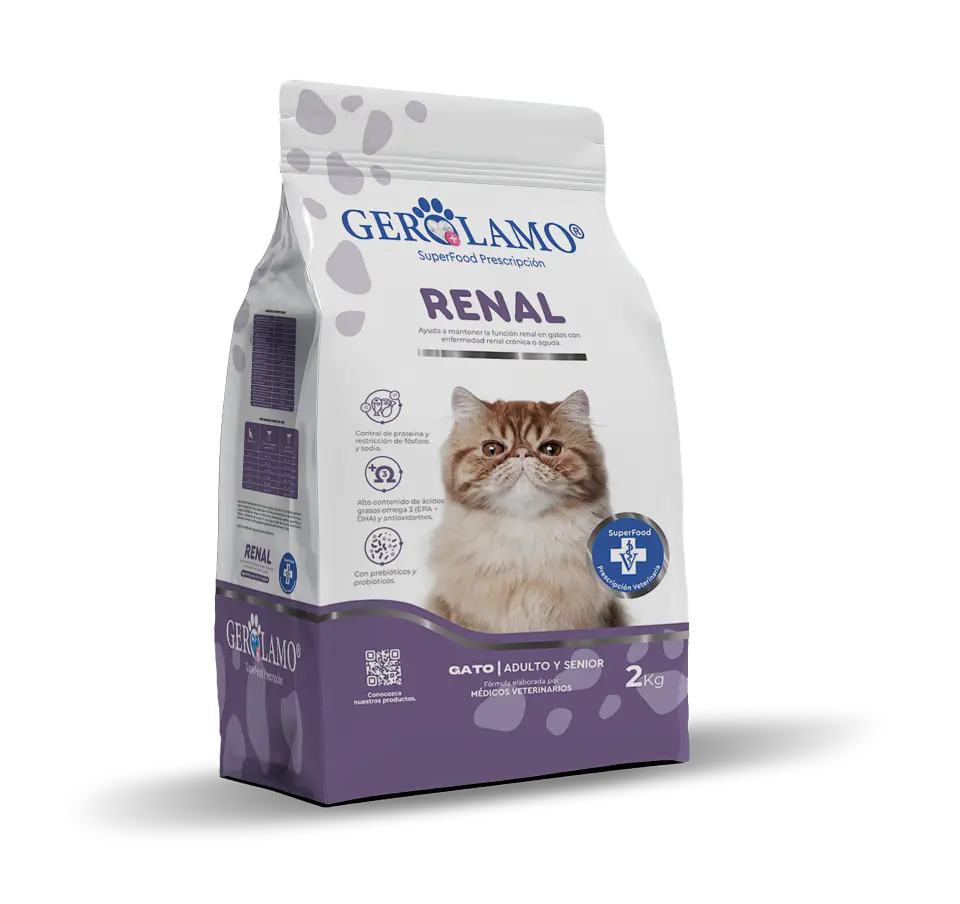 Gerolamo Gato Renal 2K  1