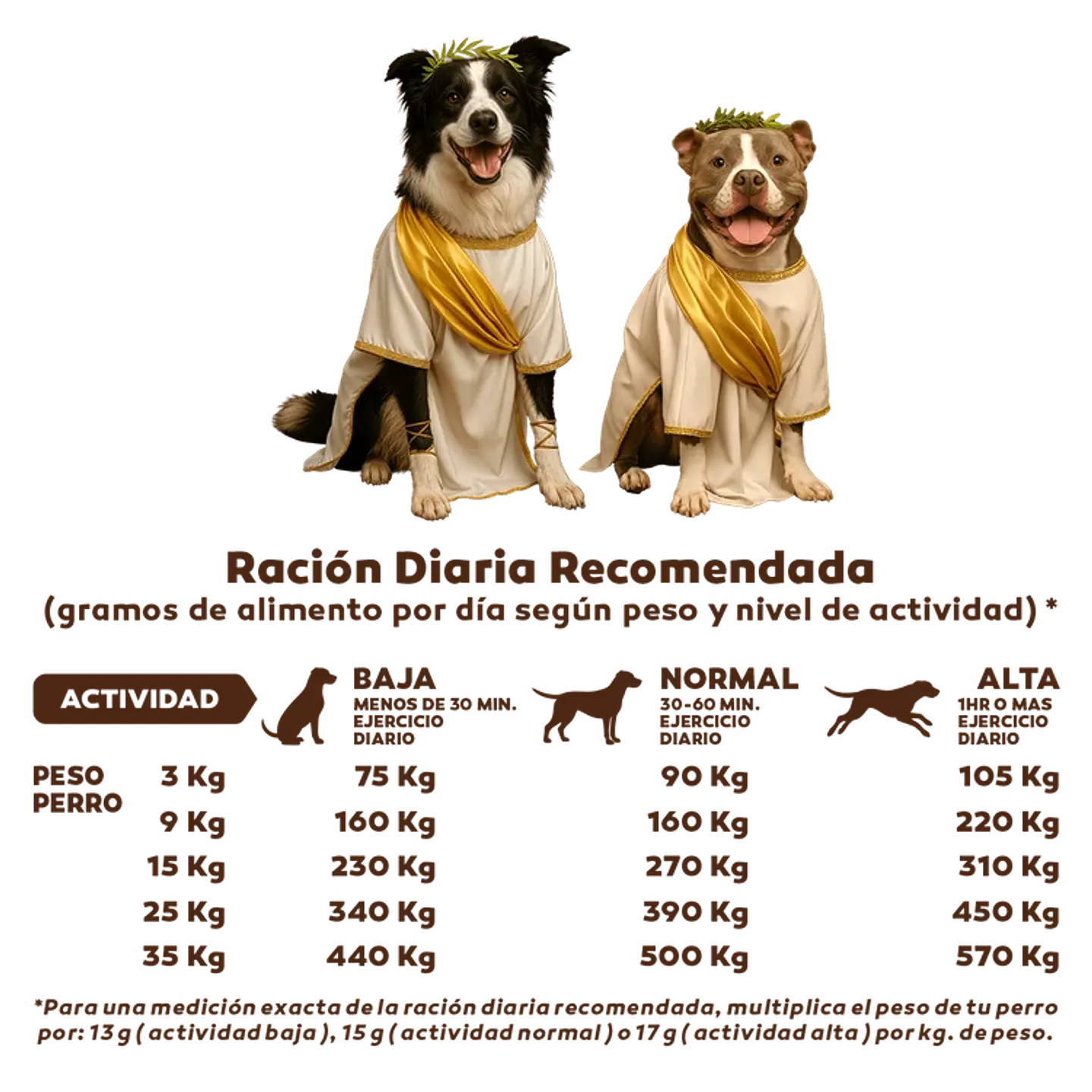 Arcadia Perro Adulto 15K  3