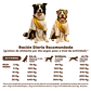 Arcadia Perro Adulto 15K  - Miniatura 3