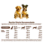 Arcadia Cachorro 3K  - Miniatura 3