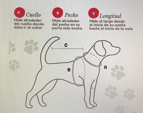 Arne Wonder Dog Talla L Morado Y azul