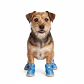 Zapatos Para Perro - Miniatura 1