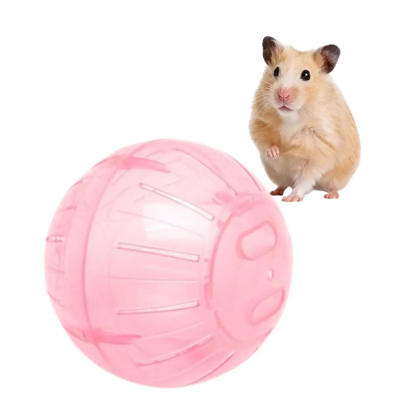 Bola Ejercicio Pequeñas Mascotas 33cm  1
