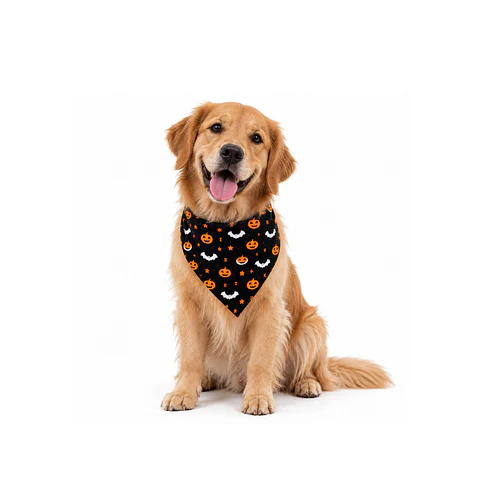 Bandana Halloween 