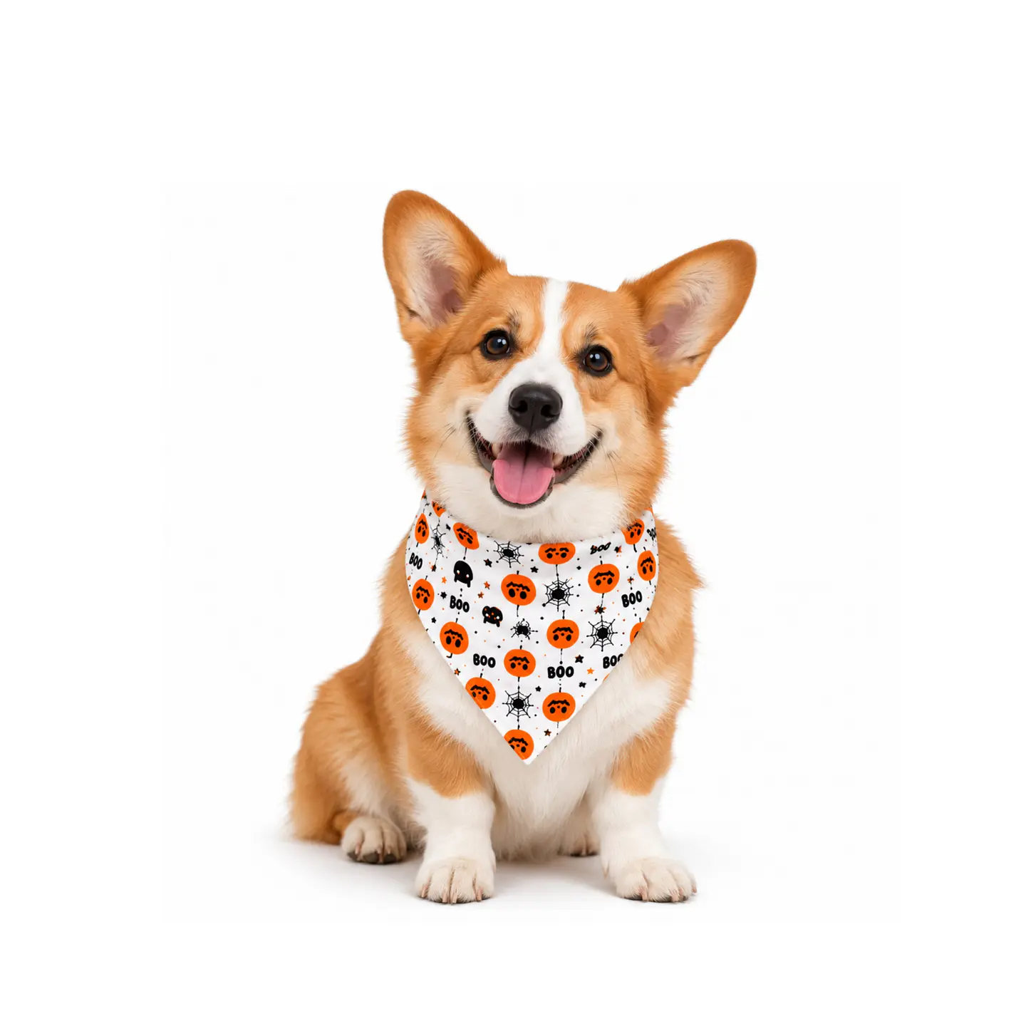 Bandana Halloween  2