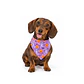 Bandana Halloween  - Miniatura 3