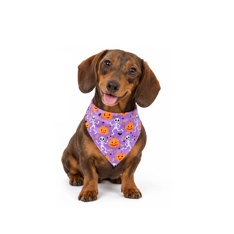 Bandana Halloween  3