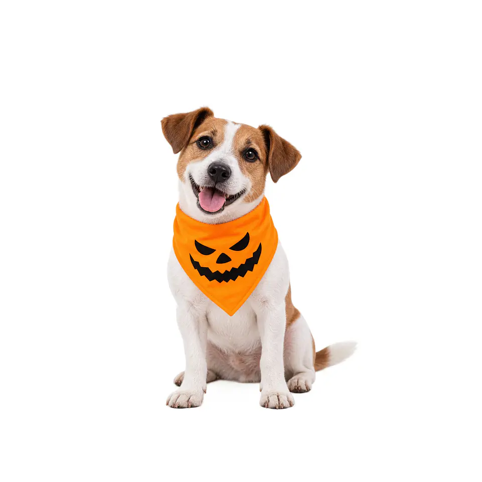Bandana Halloween  4