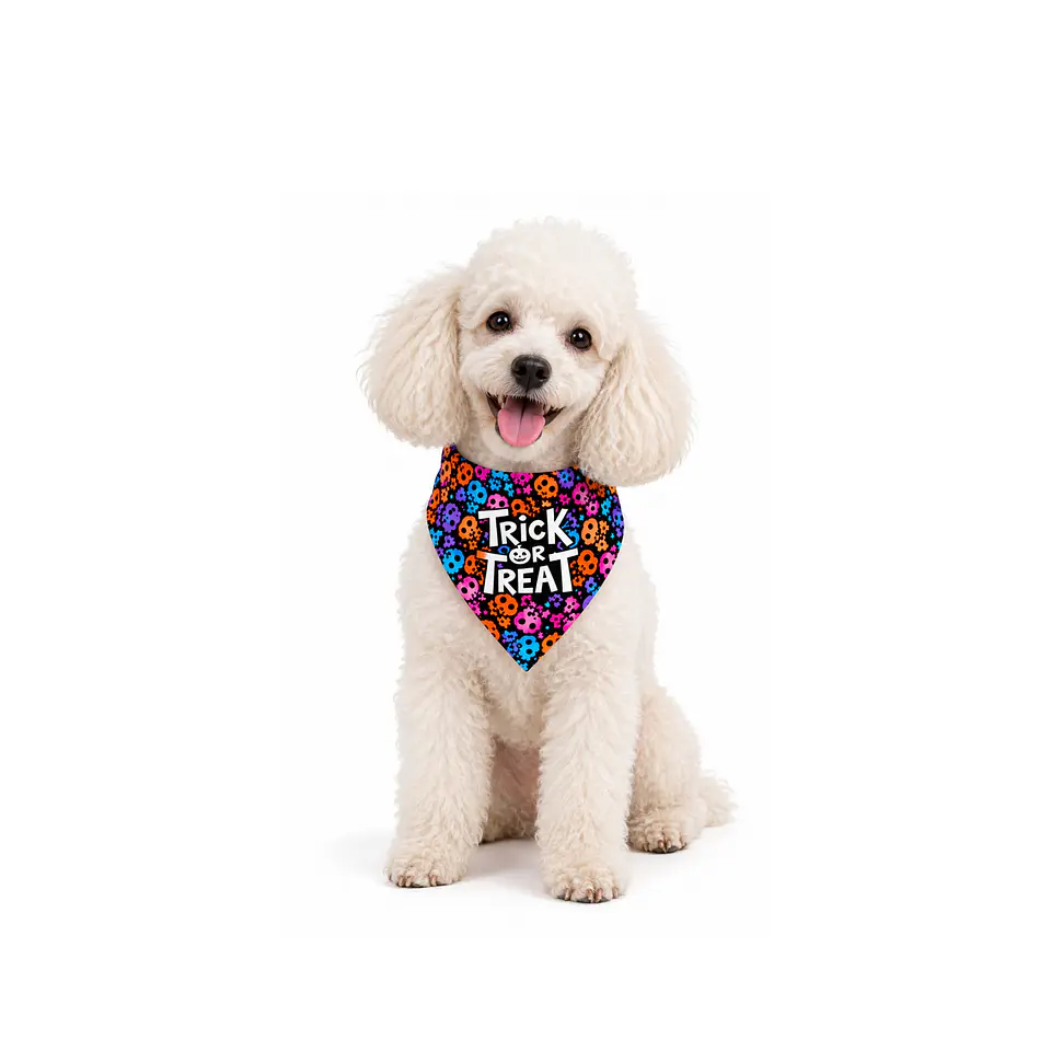 Bandana Halloween  5