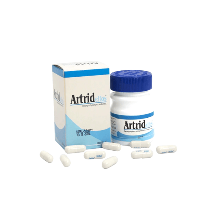 ARTRIDELFOS CAPSULAS 1