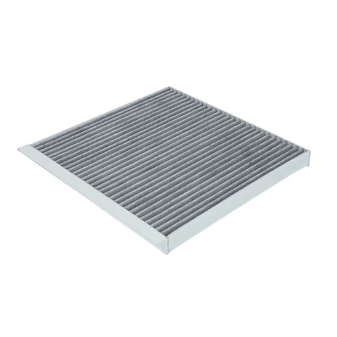 Filtro de Polen HK Carbon Activo