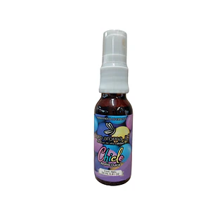 Aroma Chicle