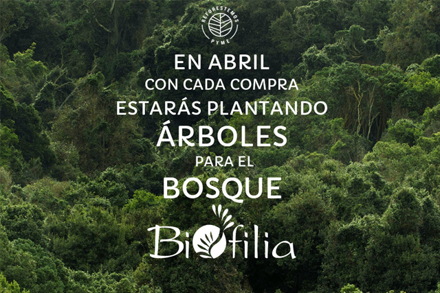 Campaña Abril- Bosque Biofilia