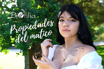 El matico: valioso ingrediente en la cosmética natural chilena