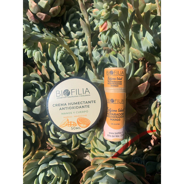 Humectacion para labios y manos Antioxidante