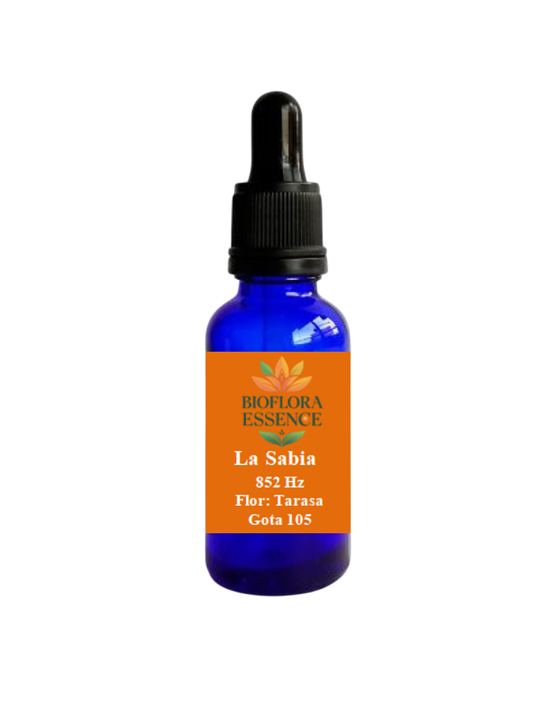 La Sabia x 30mL Gota 105 1