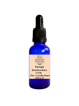 Energía Fortalecedora x 30mL Gota 25