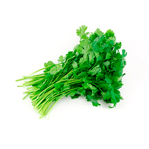 CILANTRO PQTE 250G